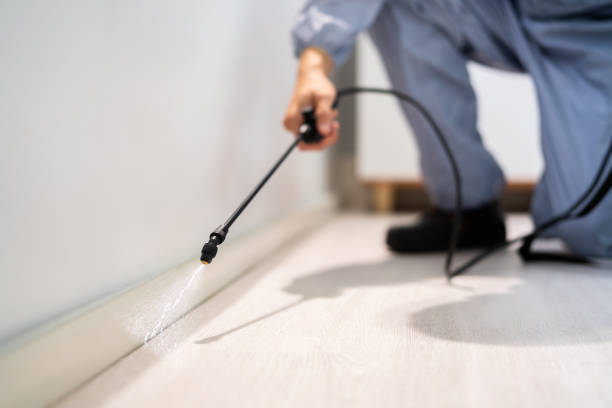 Licensed Wasp Removal service in New Brockton, AL - Show Me Pest Control