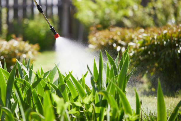 24/7 Emergency Wasp Removal experts in New Brockton, AL