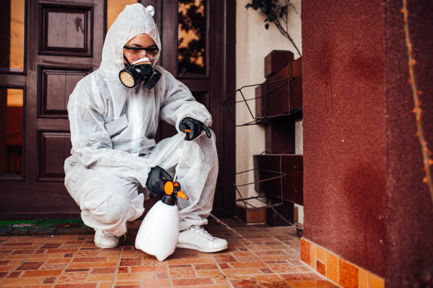 Reliable Wasp Removal contractor in New Brockton, AL by Show Me Pest Control